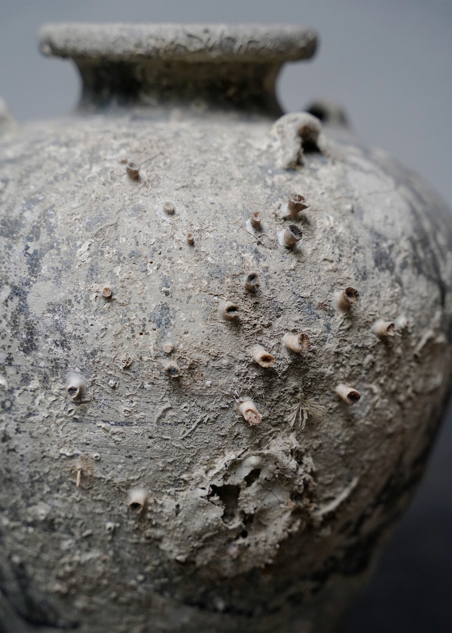Shipwreck Jar #11 - Currently on hold