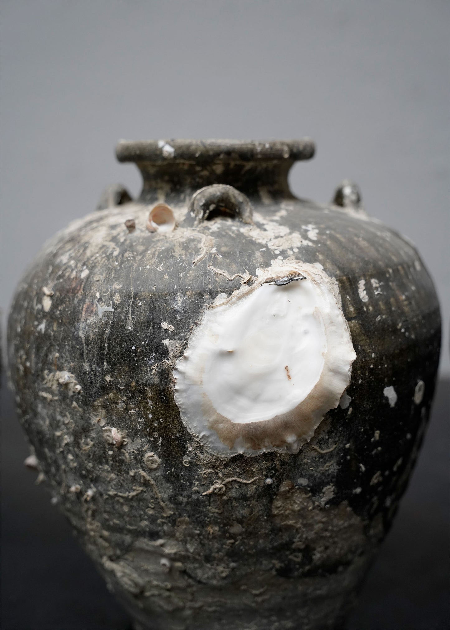 Shipwreck Jar #8 - Currently on hold