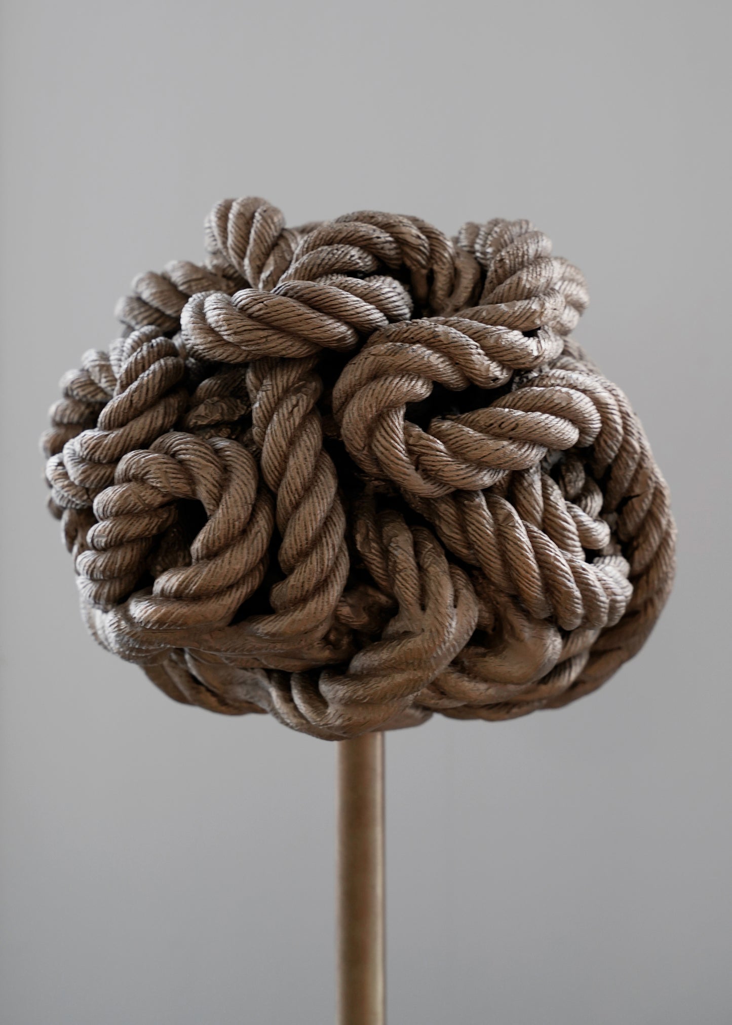 "Brain, V2" von Michael Sailstorfer
