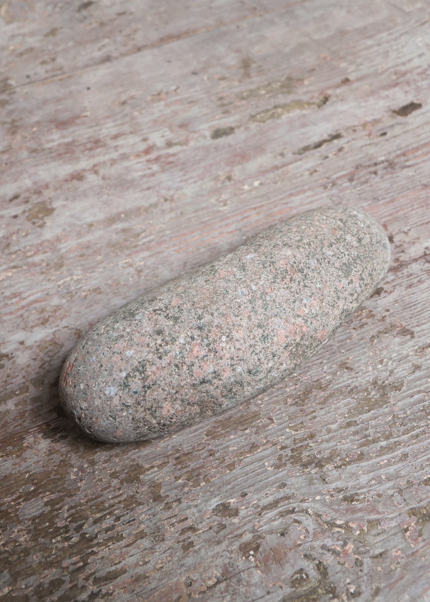 Asian Stone Pounder #2
