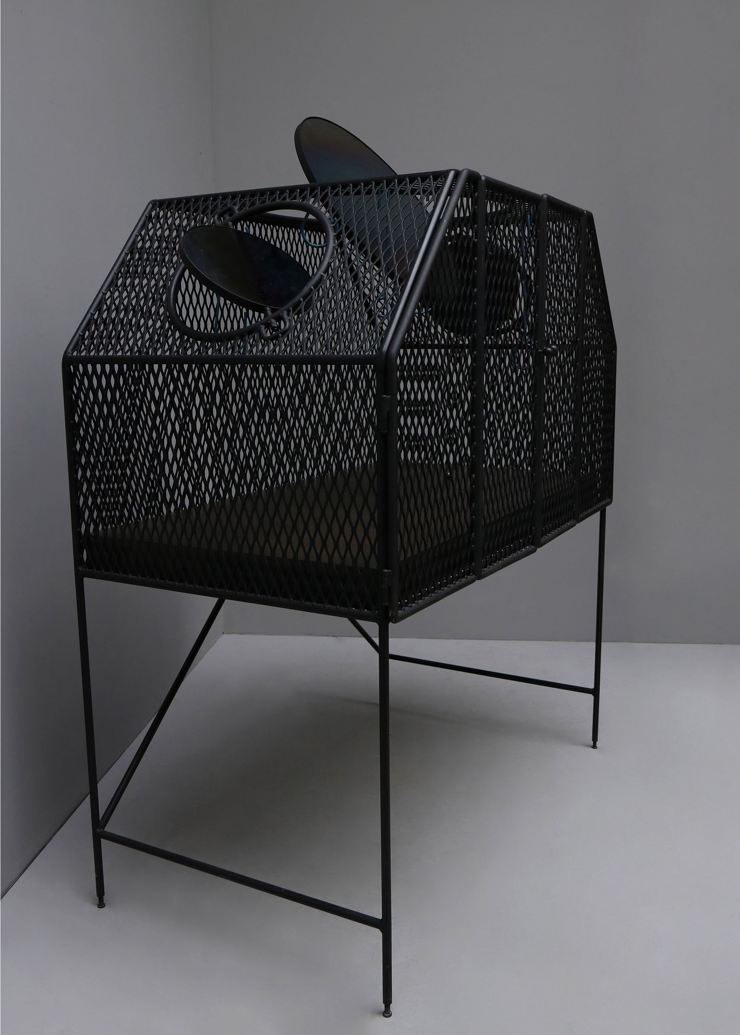 "CAGE FOR BIRDS" BY FAYE TOOGOOD