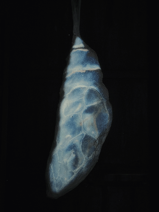 “Cocoon" by Georg Jagunov