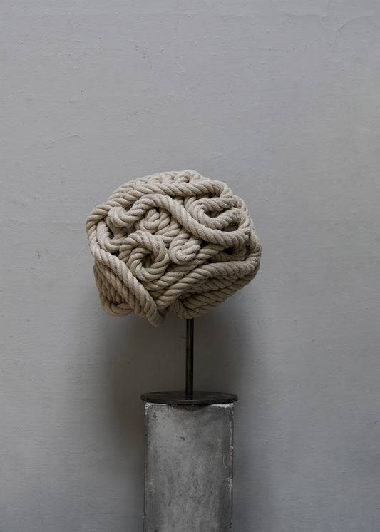 "Brain" by Michael Sailstorfer